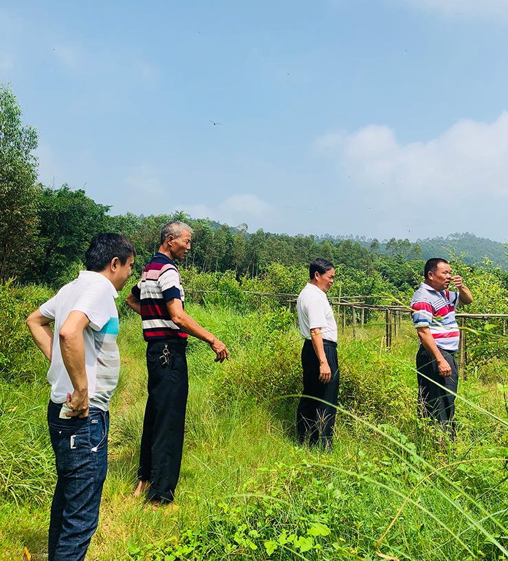 首页-PA真人集团有限公司官网