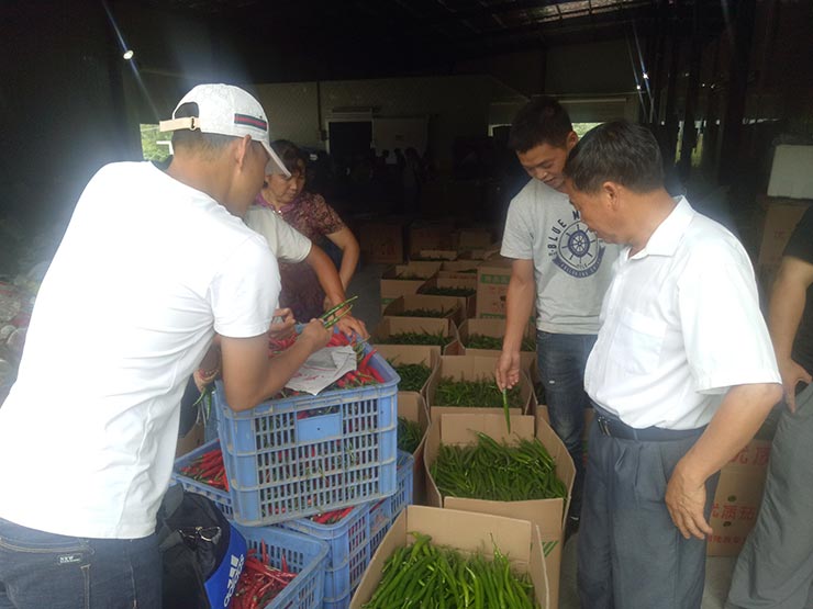 首页-PA真人集团有限公司官网