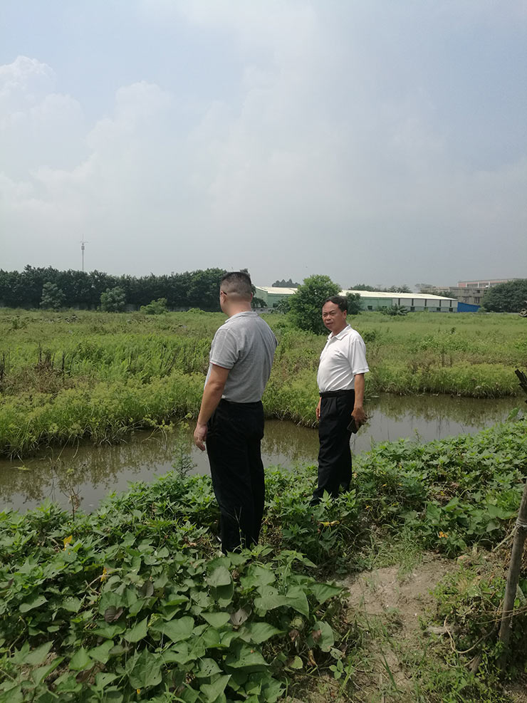 首页-PA真人集团有限公司官网