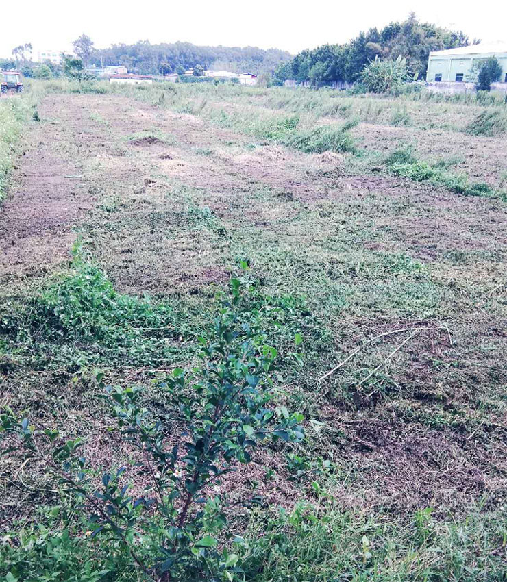 首页-PA真人集团有限公司官网