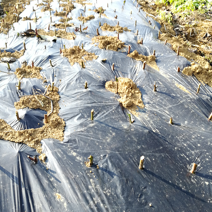 首页-PA真人集团有限公司官网