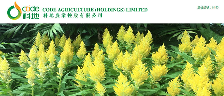 首页-PA真人集团有限公司官网