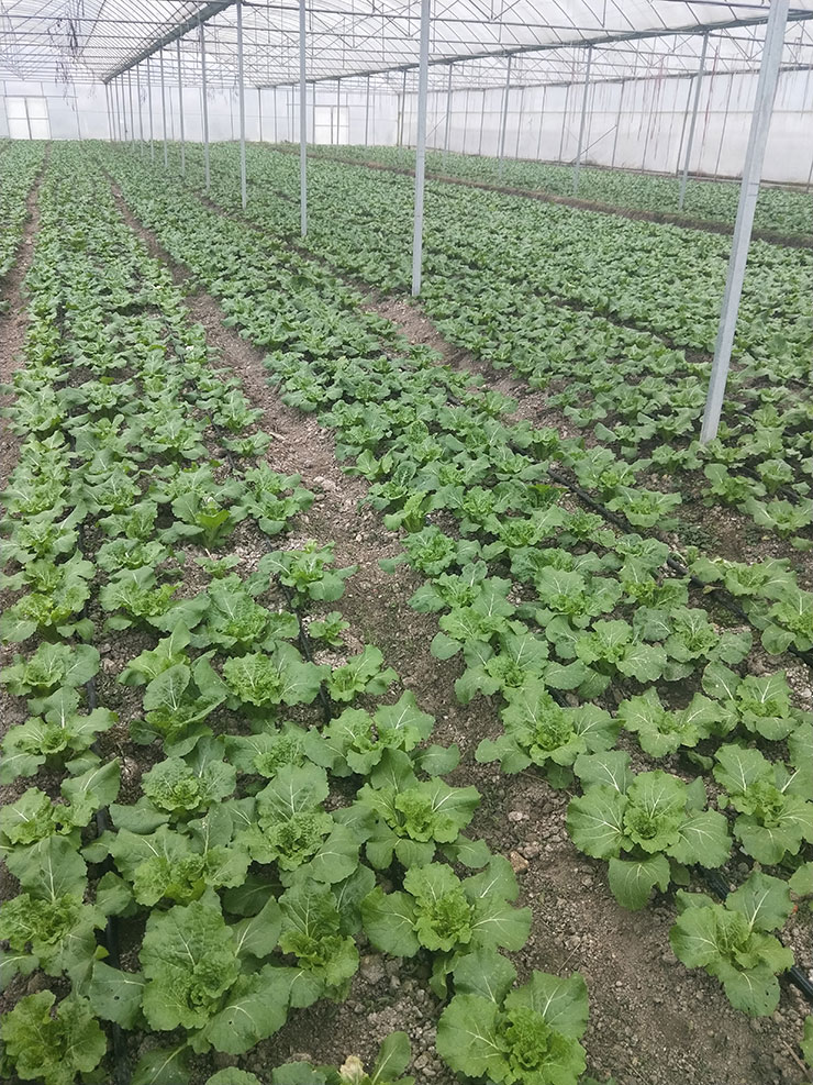 首页-PA真人集团有限公司官网