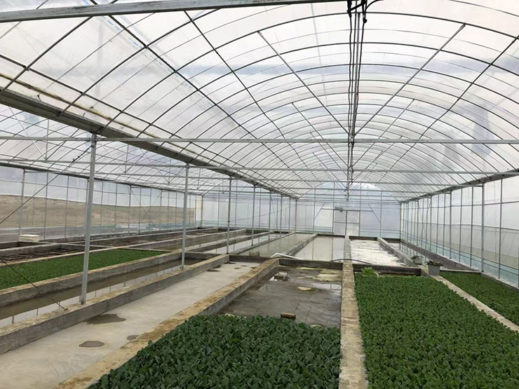 首页-PA真人集团有限公司官网