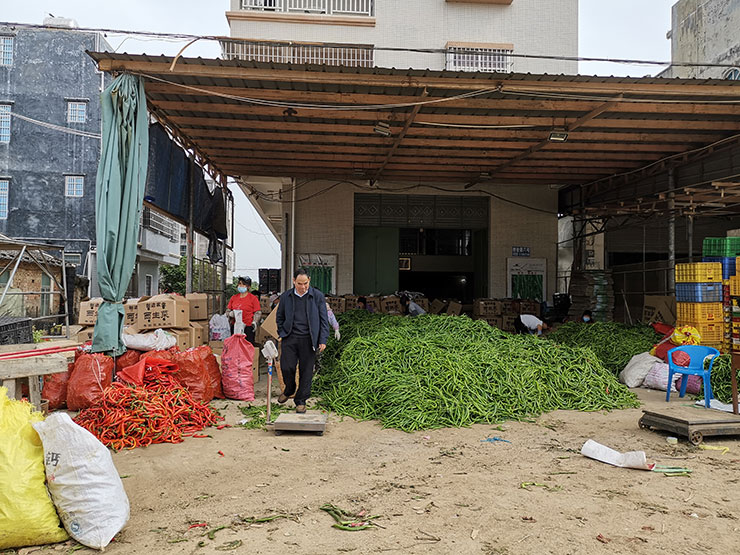 首页-PA真人集团有限公司官网