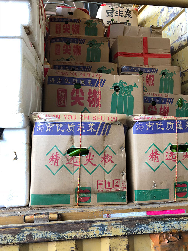 首页-PA真人集团有限公司官网