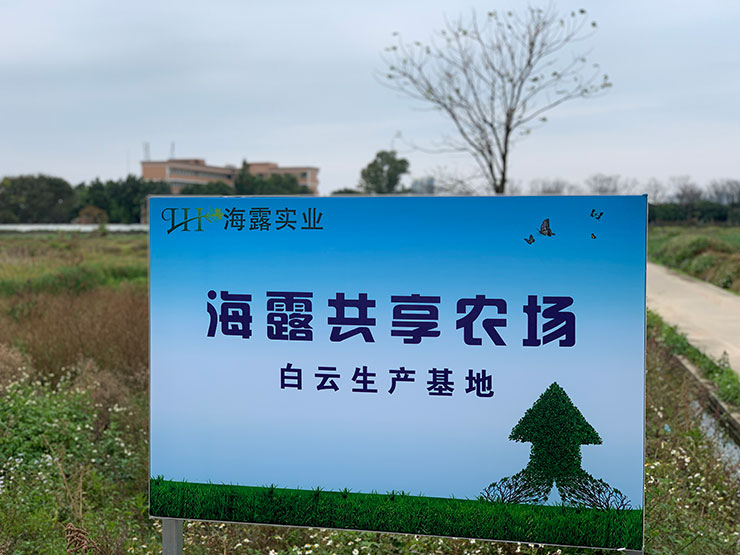 首页-PA真人集团有限公司官网