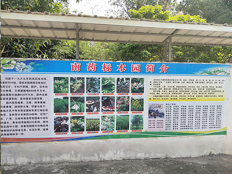 首页-PA真人集团有限公司官网