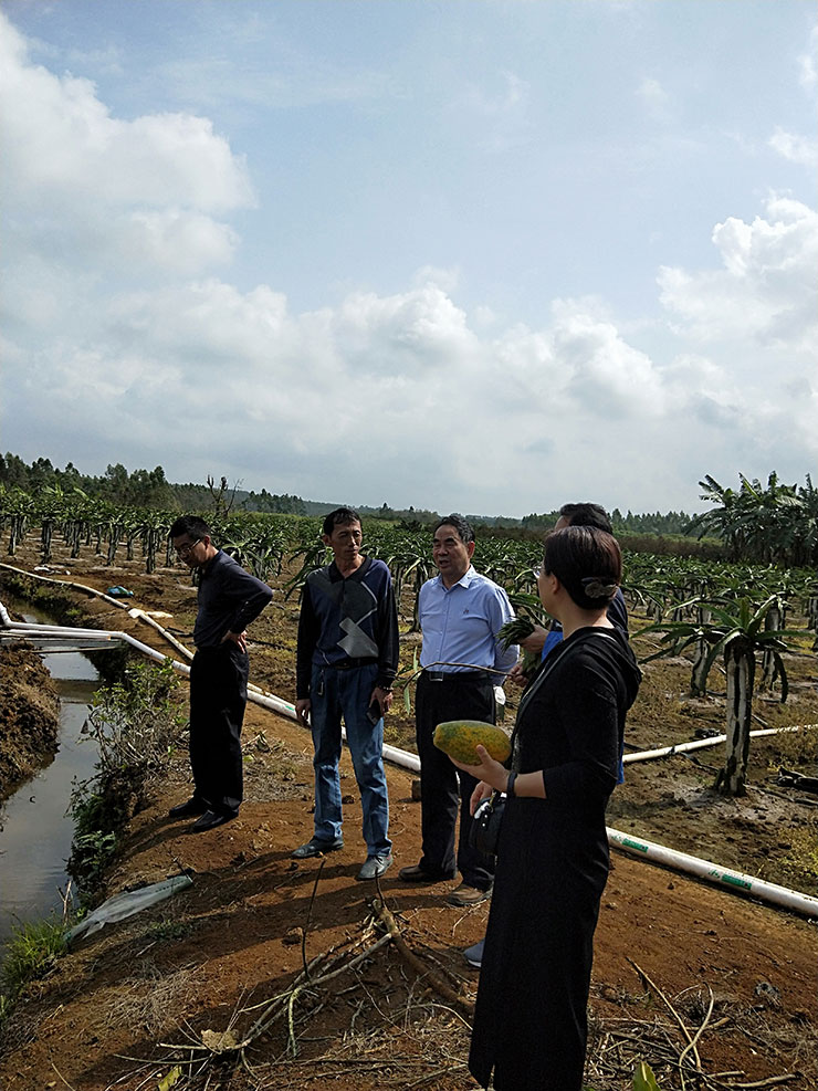 首页-PA真人集团有限公司官网