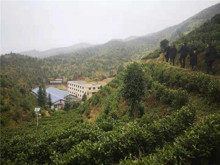 首页-PA真人集团有限公司官网