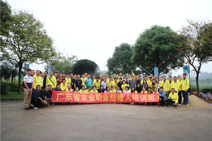 首页-PA真人集团有限公司官网