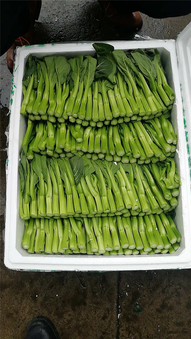 首页-PA真人集团有限公司官网