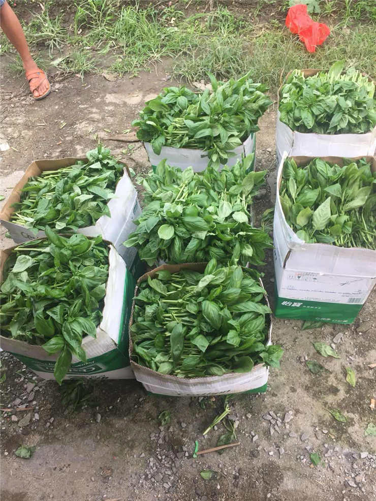 首页-PA真人集团有限公司官网