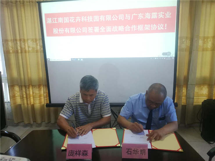 首页-PA真人集团有限公司官网