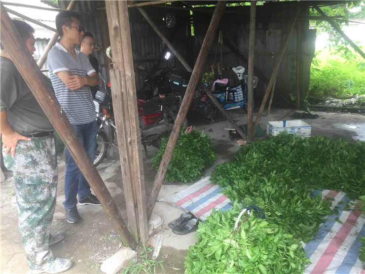 首页-PA真人集团有限公司官网