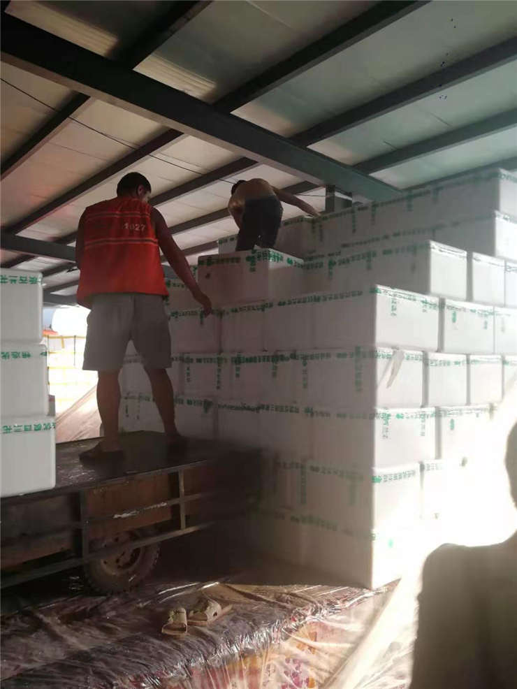 首页-PA真人集团有限公司官网