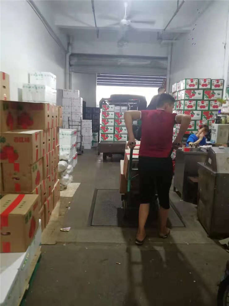 首页-PA真人集团有限公司官网