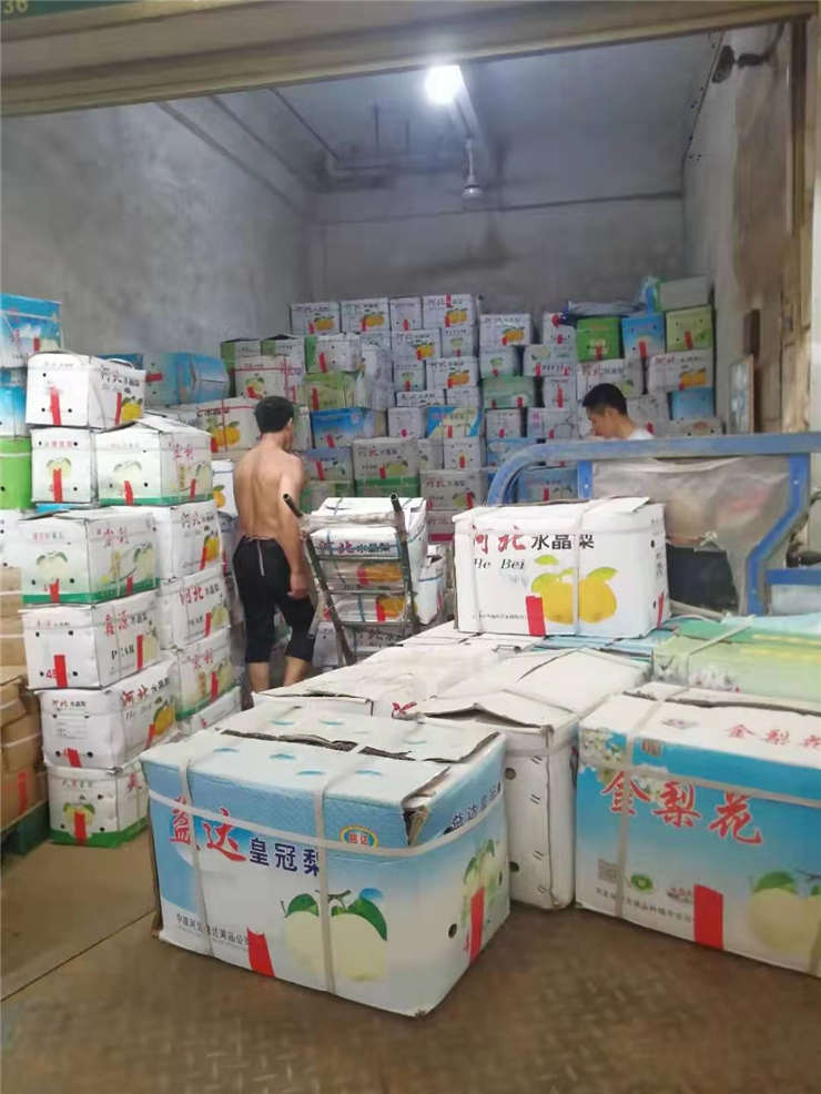 首页-PA真人集团有限公司官网