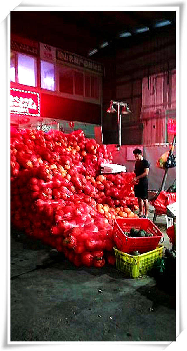 首页-PA真人集团有限公司官网