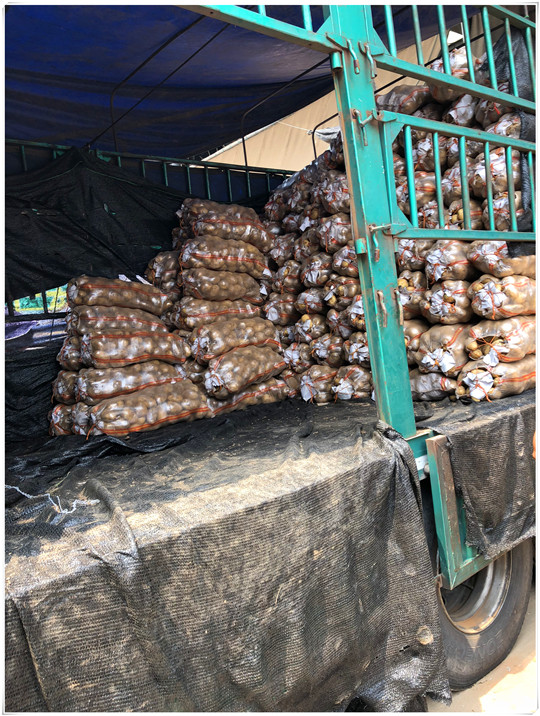 首页-PA真人集团有限公司官网