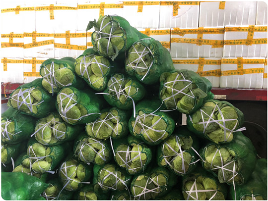 首页-PA真人集团有限公司官网