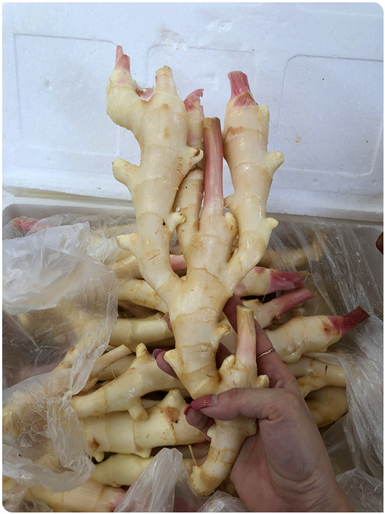 首页-PA真人集团有限公司官网