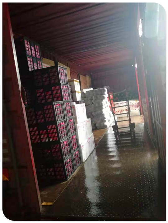 首页-PA真人集团有限公司官网