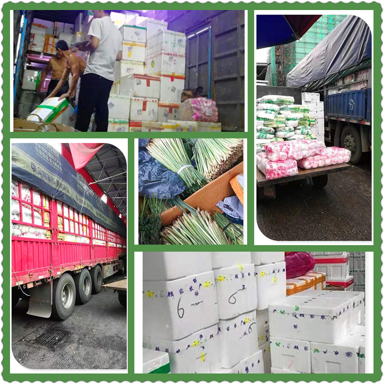 首页-PA真人集团有限公司官网