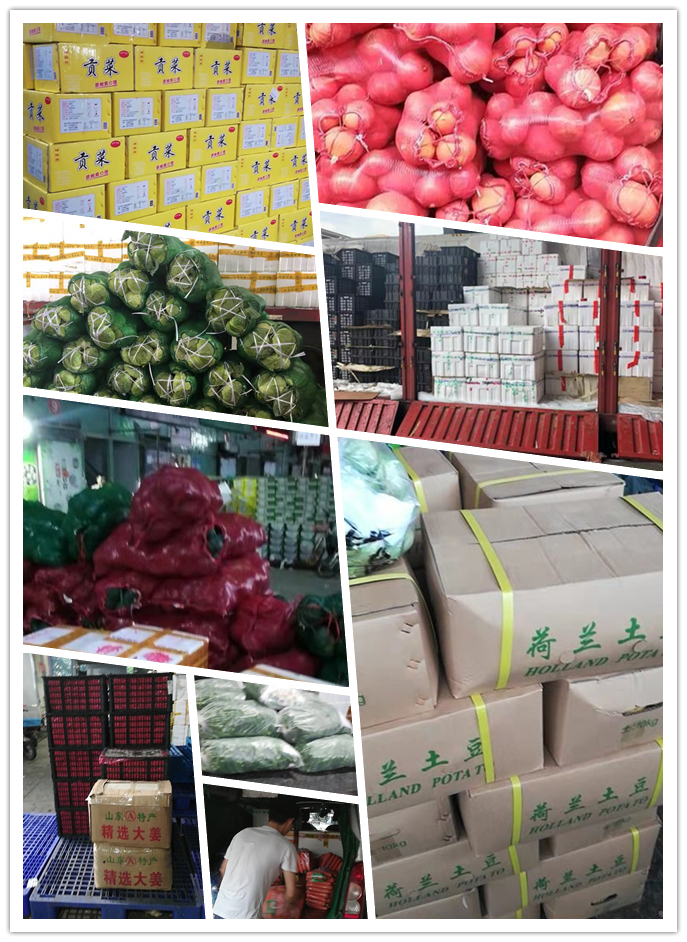 首页-PA真人集团有限公司官网