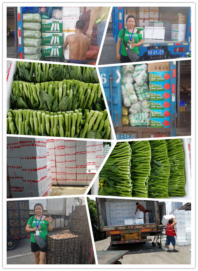 首页-PA真人集团有限公司官网