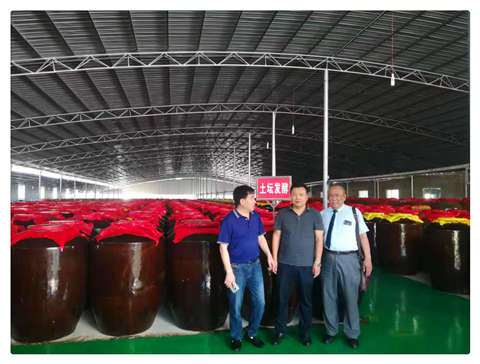 首页-PA真人集团有限公司官网