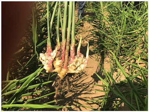 首页-PA真人集团有限公司官网