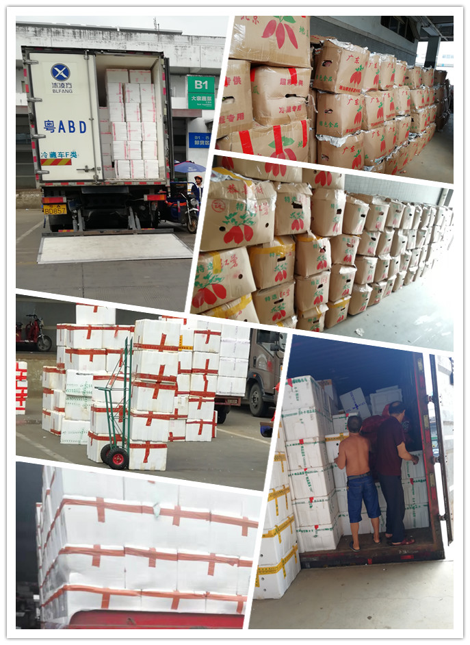 首页-PA真人集团有限公司官网