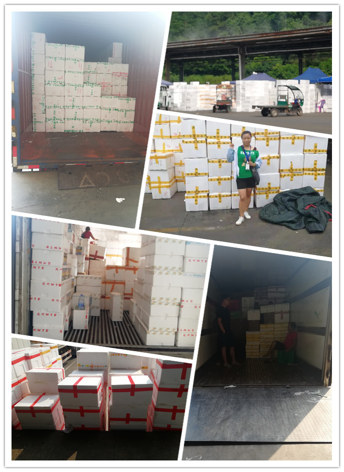 首页-PA真人集团有限公司官网