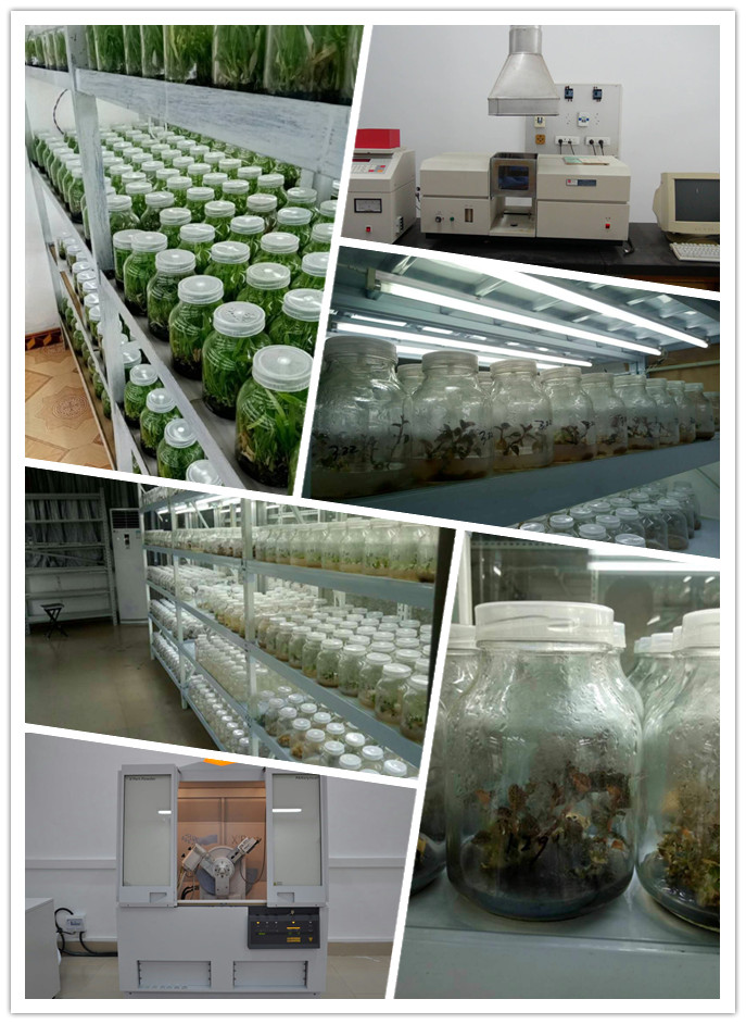 首页-PA真人集团有限公司官网