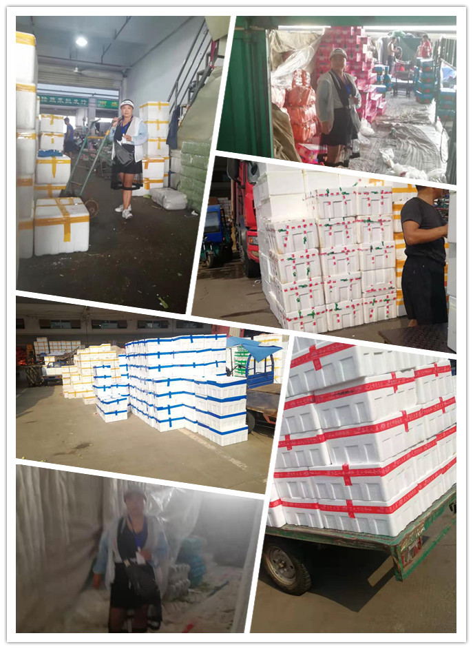 首页-PA真人集团有限公司官网