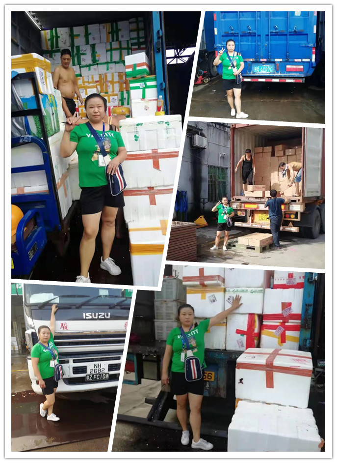 首页-PA真人集团有限公司官网