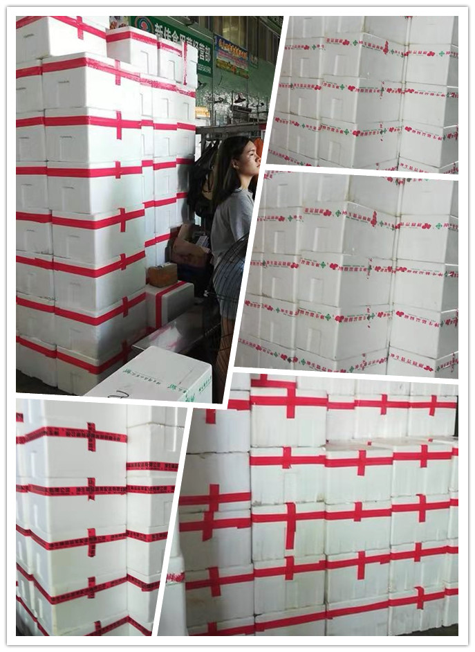 首页-PA真人集团有限公司官网