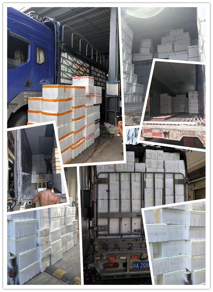 首页-PA真人集团有限公司官网