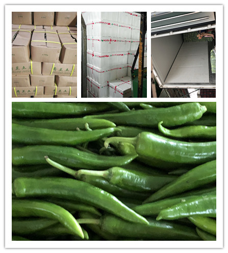 首页-PA真人集团有限公司官网