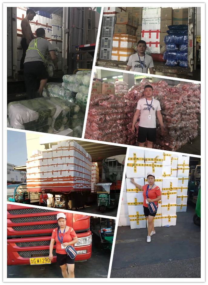 首页-PA真人集团有限公司官网