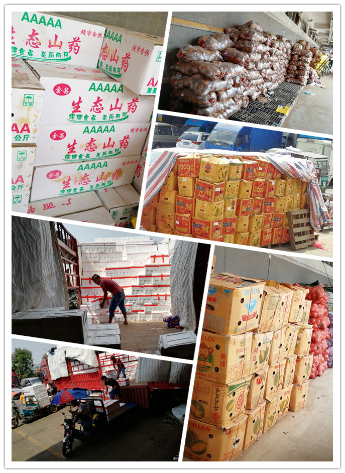 首页-PA真人集团有限公司官网