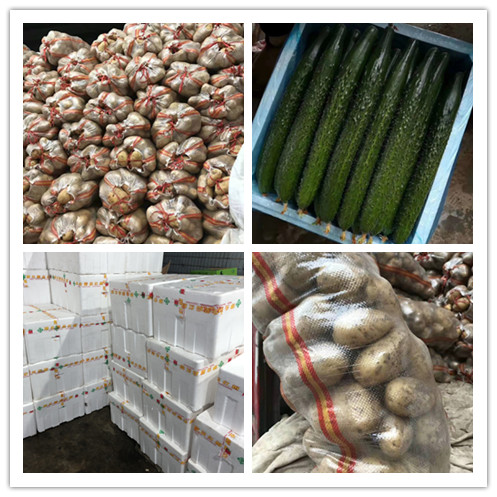 首页-PA真人集团有限公司官网