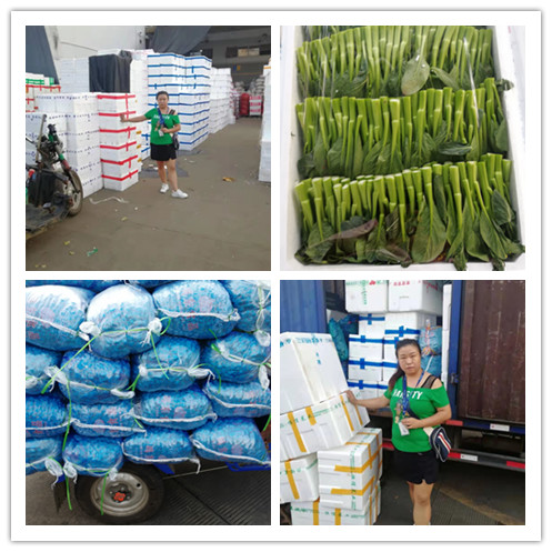 首页-PA真人集团有限公司官网