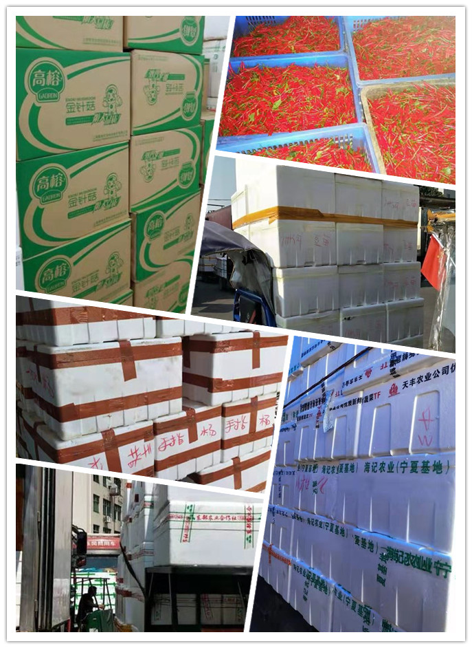 首页-PA真人集团有限公司官网