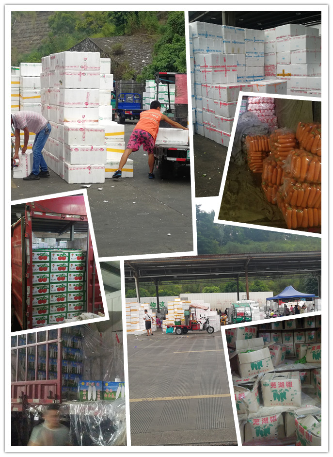 首页-PA真人集团有限公司官网