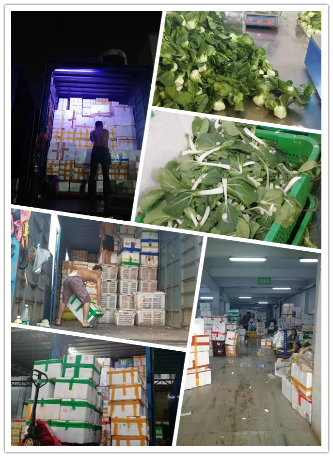 首页-PA真人集团有限公司官网