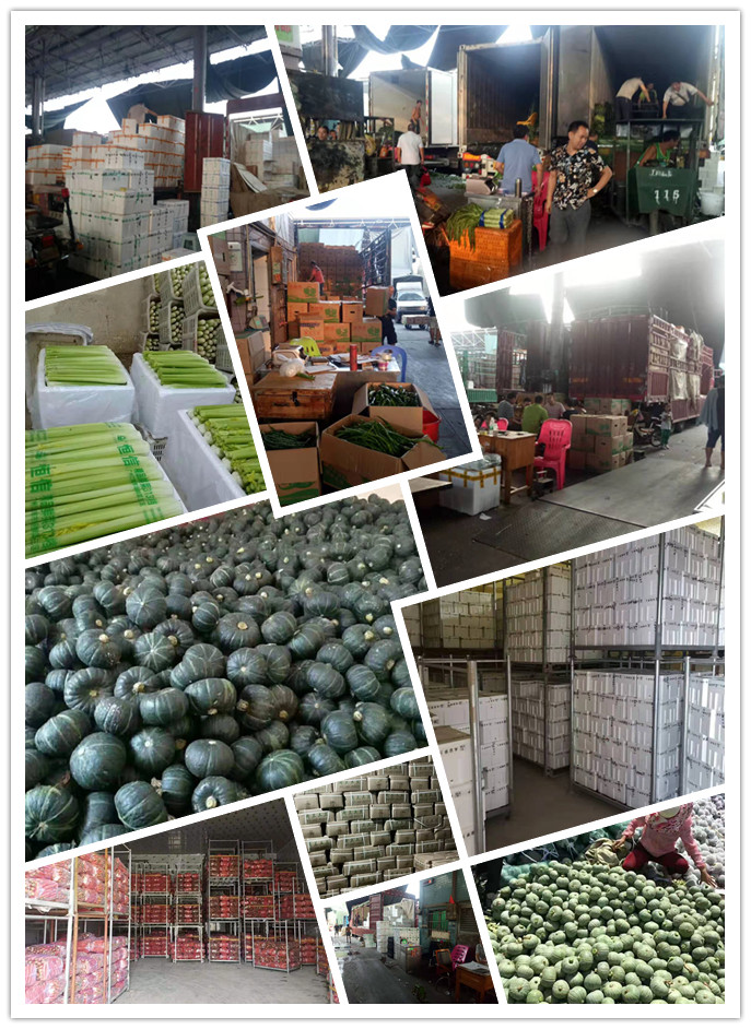 首页-PA真人集团有限公司官网