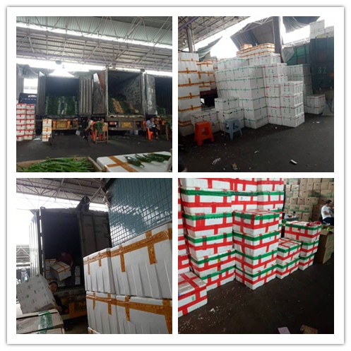 首页-PA真人集团有限公司官网