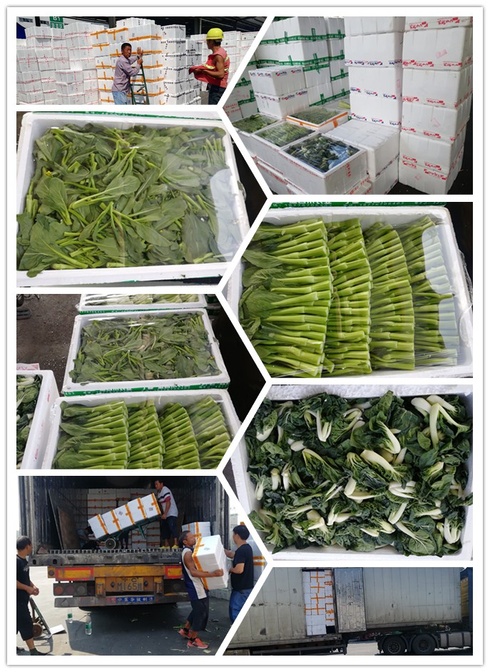 首页-PA真人集团有限公司官网